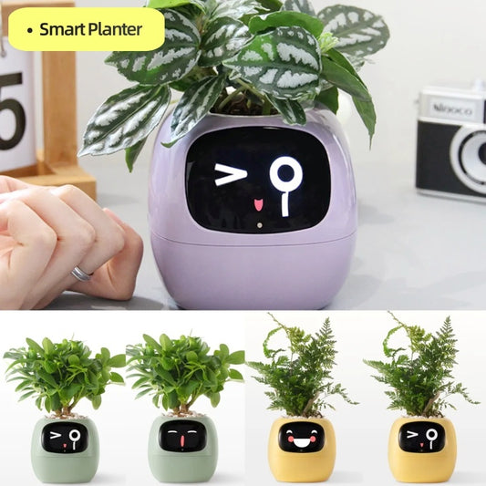 Smart Planter with AI Chips and 7 Sensors for Easy Plant Care